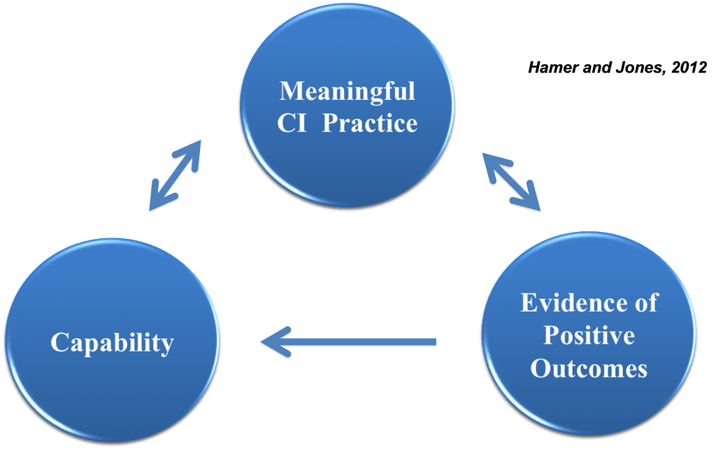 CPO Model (Capability-Practice-Outcome)